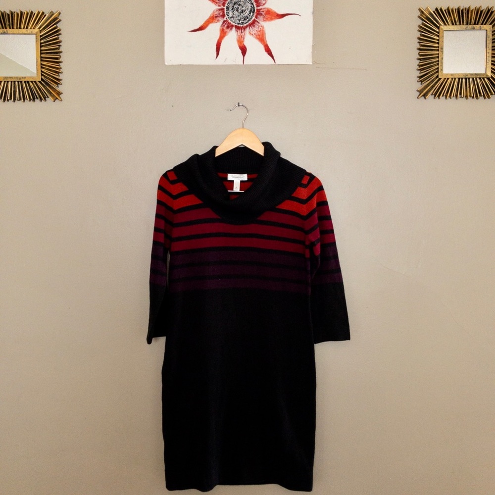 DRESSBARN bold striped turtleneck dress